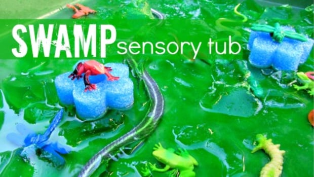 Swamp Sensory Tub from No Time for Flashcards
