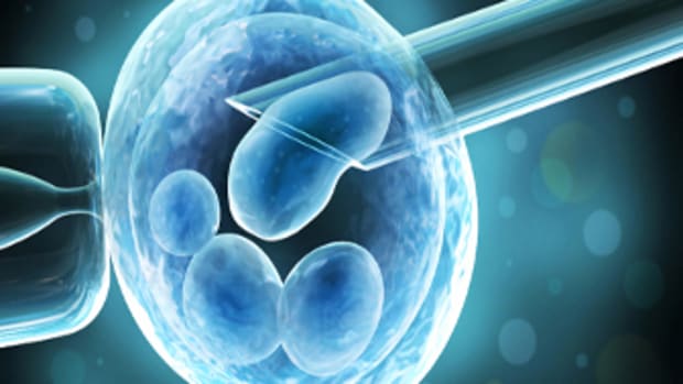 Moms Are Turning To IVF In Record Numbers www.TodaysMama.com #IVF