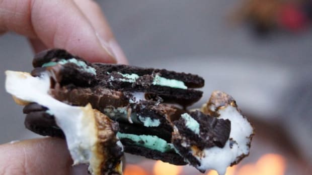 Oreo Thins S'mores
