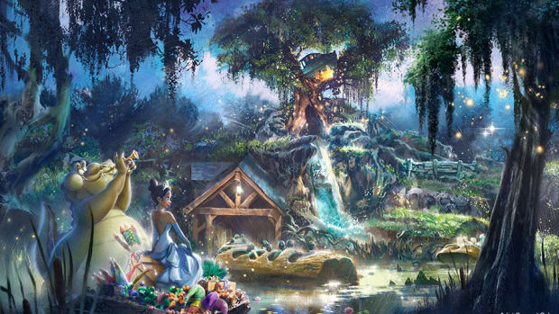 Disney Splash Mountain Princess and the Frog