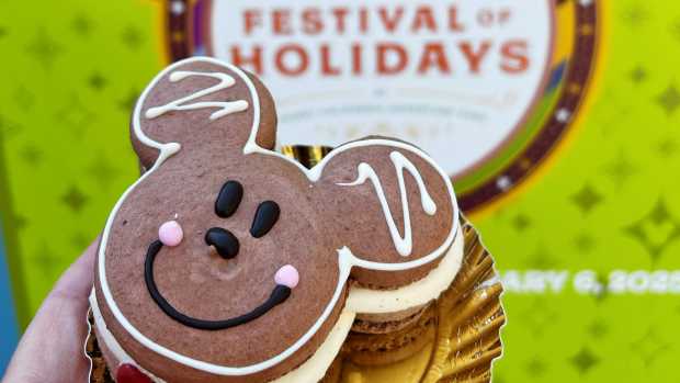 Christmas at Disneyland is as magical as you can imagine, and now, with the Disneyland Festival of Holidays, there are even more shows, parades, foods, and holiday treats to enjoy! 