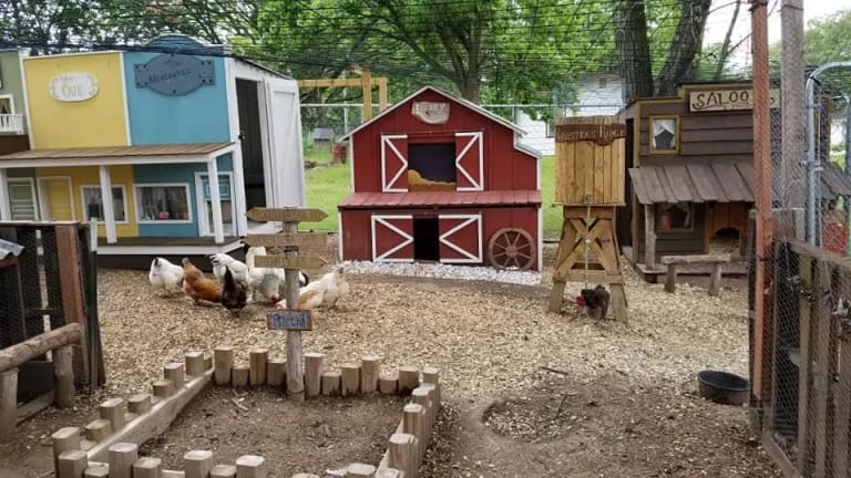 Man Builds His Wife A Real Live Wild West Chicken Town
