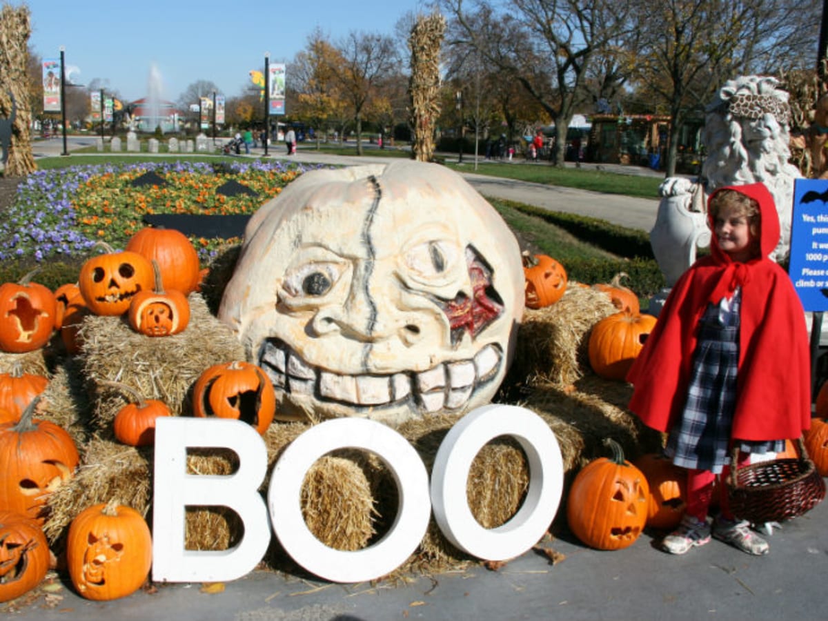 Pumpkinfest 2021 Pet Costume Contest in Louisville at Online