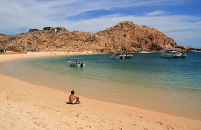 Unforgettable Adventures for Families in the Sea of Cortez - Today's Mama