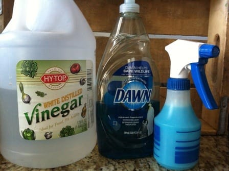 Blue Dawn and Vinegar Cleaning Solution - Today’s Mama - Parenting Tips ...