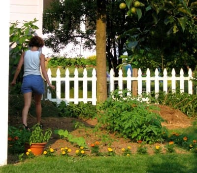 Our yard in Connecticut was only 0.12 acres, so my garden was, like, 0.012 acres. Space was precious.
