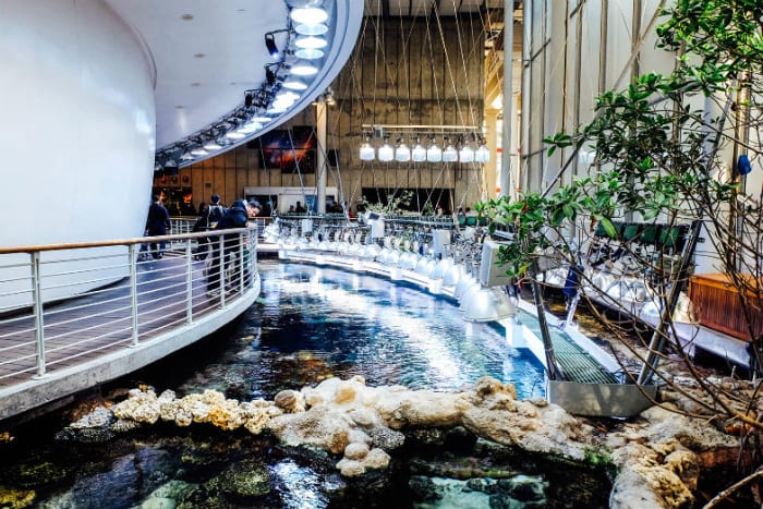 A visit at the California Academy of Sciences is one of the best things you can do with the kids in San Francisco. (Photo: Michelle Rae Uy)
