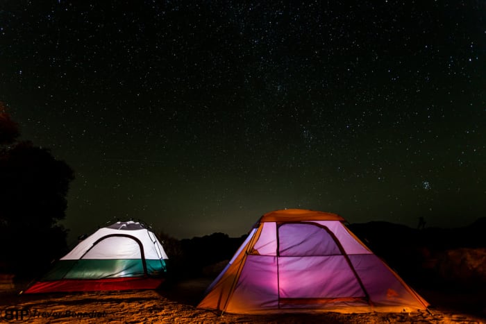 Joshua Tree is home to some of the best campground for families with kids. (Flickr: Trevor Benedict)