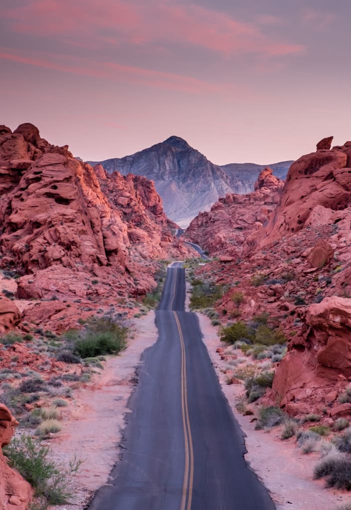 Photo by Madhu Shesharam on Unsplash