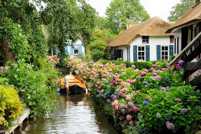 Photo Credit: insureandgo.com