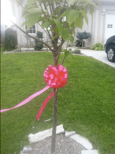 Pink ribbons are being displayed all over Andrea's home town and in Canada, Philadelphia, California and many other places. Rock a pink ribbon at your house!