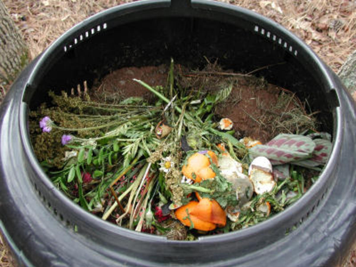 compost_bin