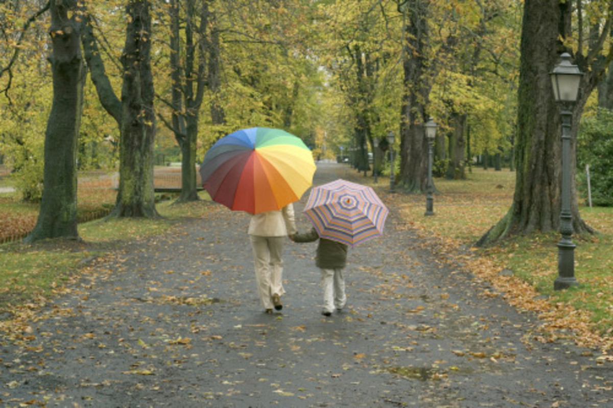 Fall Umbrella