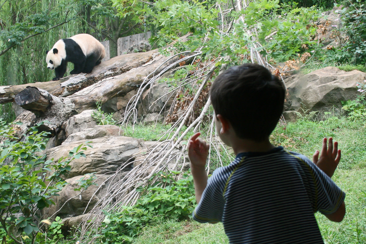 Central Park Zoo (Flickr: woodleywonderworks)