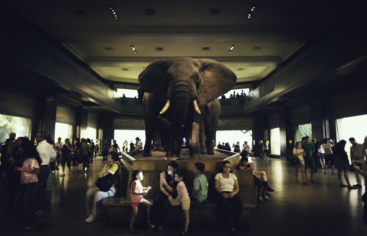 Museum of Natural History (Flickr: Guian Bolisay)