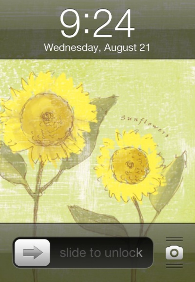 Sunflower iPhone Wallpaper on Today's Mama.com
