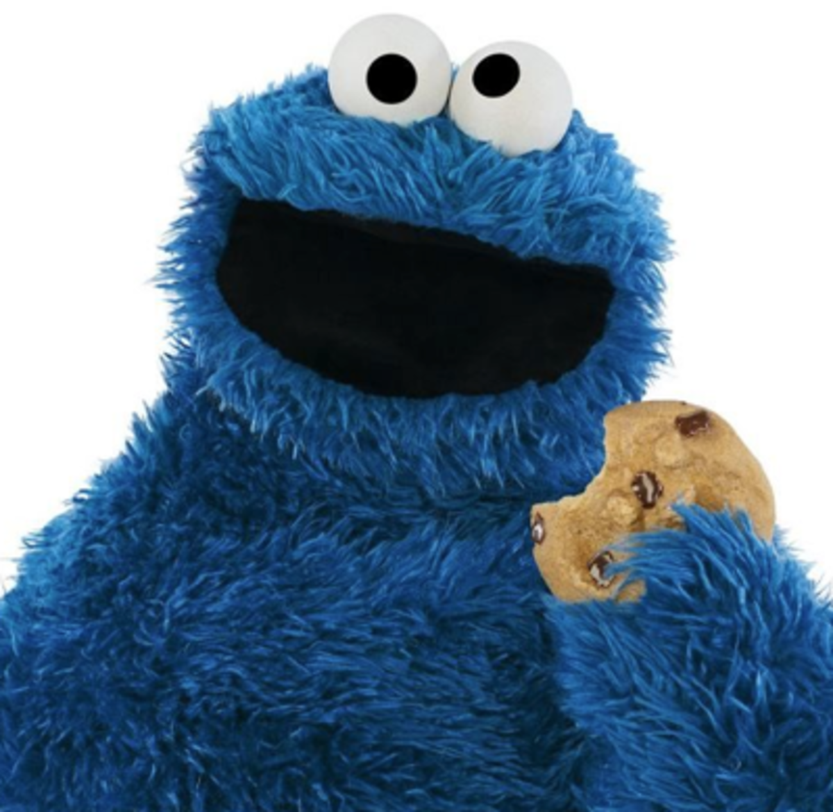 cookie monster action figure