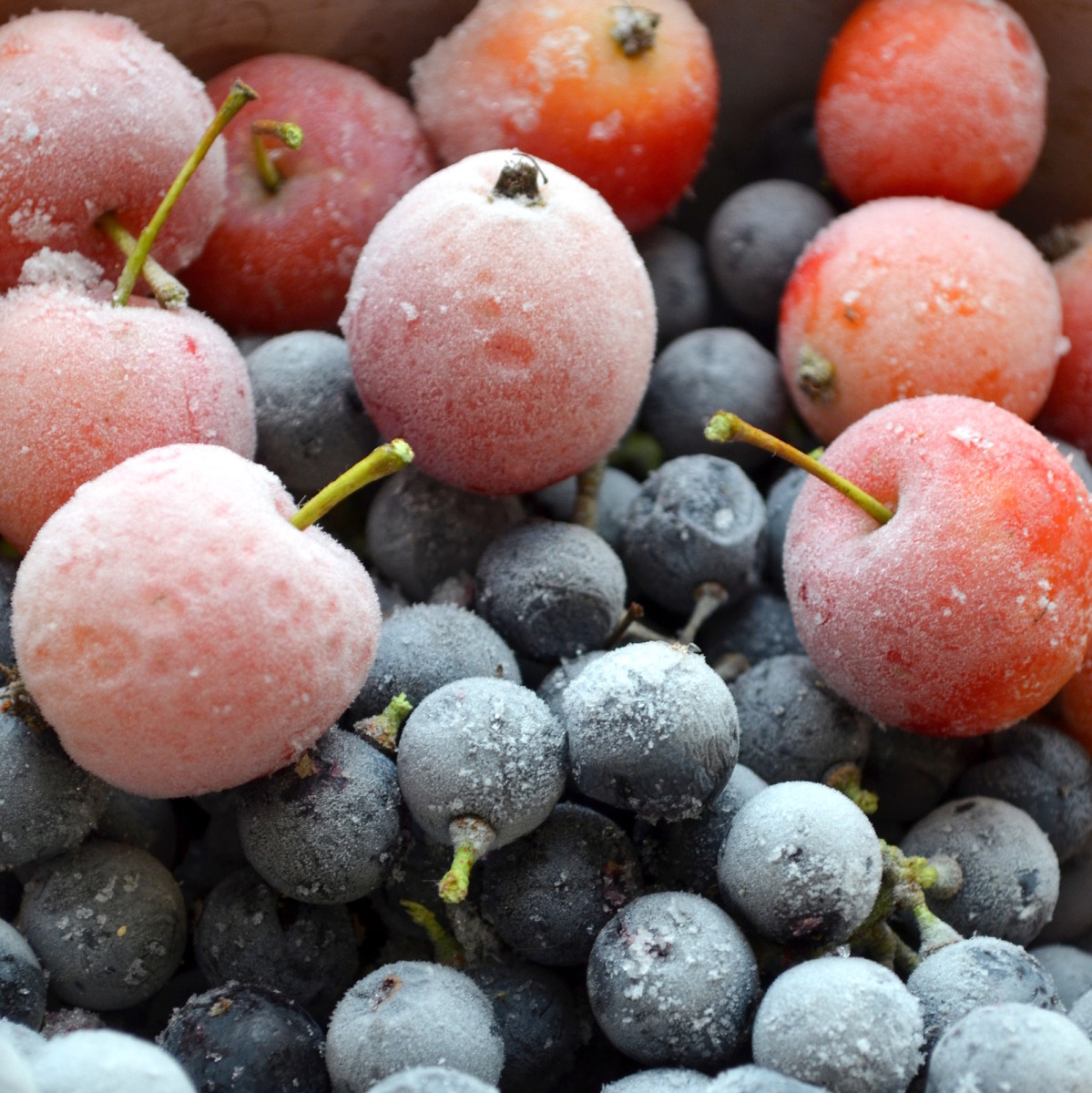 Frozen Grapes! Keep a stash of your favorite frozen fruits in the freezer for a quick and healthy snack for the kids!