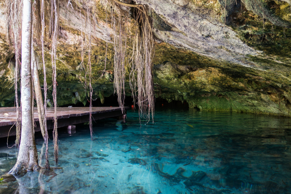 When visiting the Riviera Maya, swimming in a cenote like this one in Tulum is a must. (Flickr: Paul Simpson)