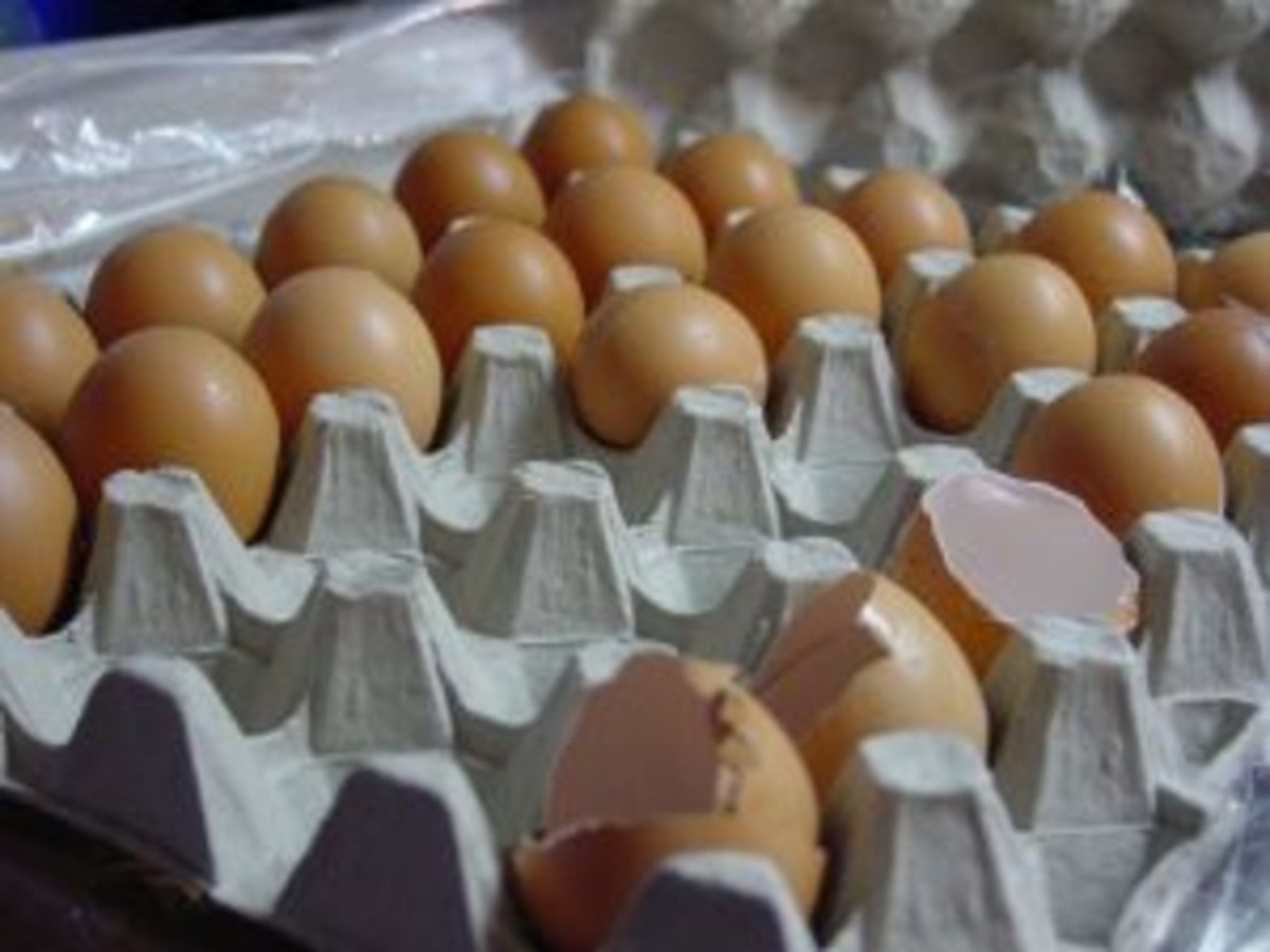 698394_eggs