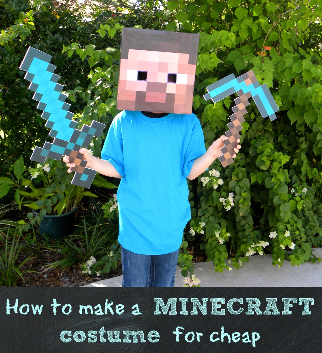 How to make a Minecraft Steve Head for less than $10