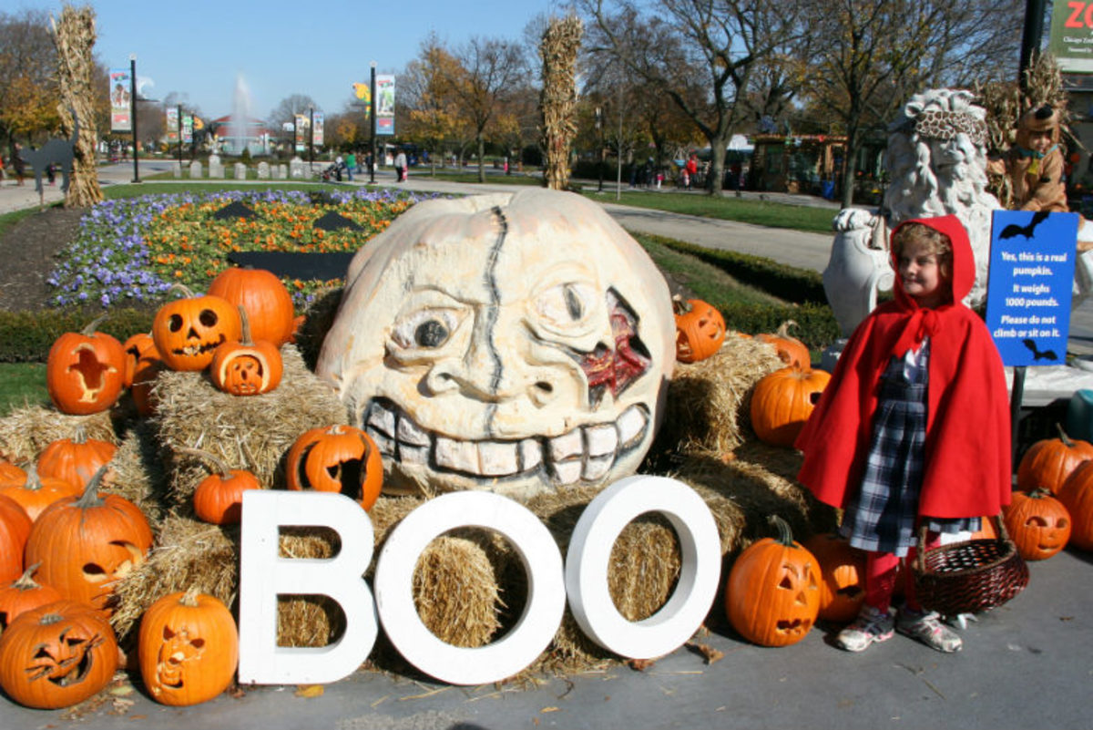 Boo-Zoos-Go-Wild-for-Halloween-df23e03199b942b2ad9dafe8a92f2dba