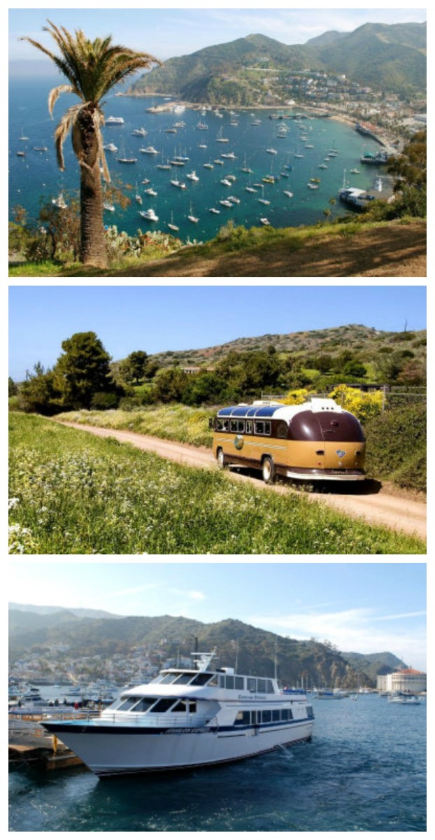 Insider Guide: Catalina Island