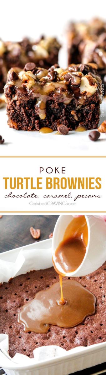 Poke Turtle Brownies