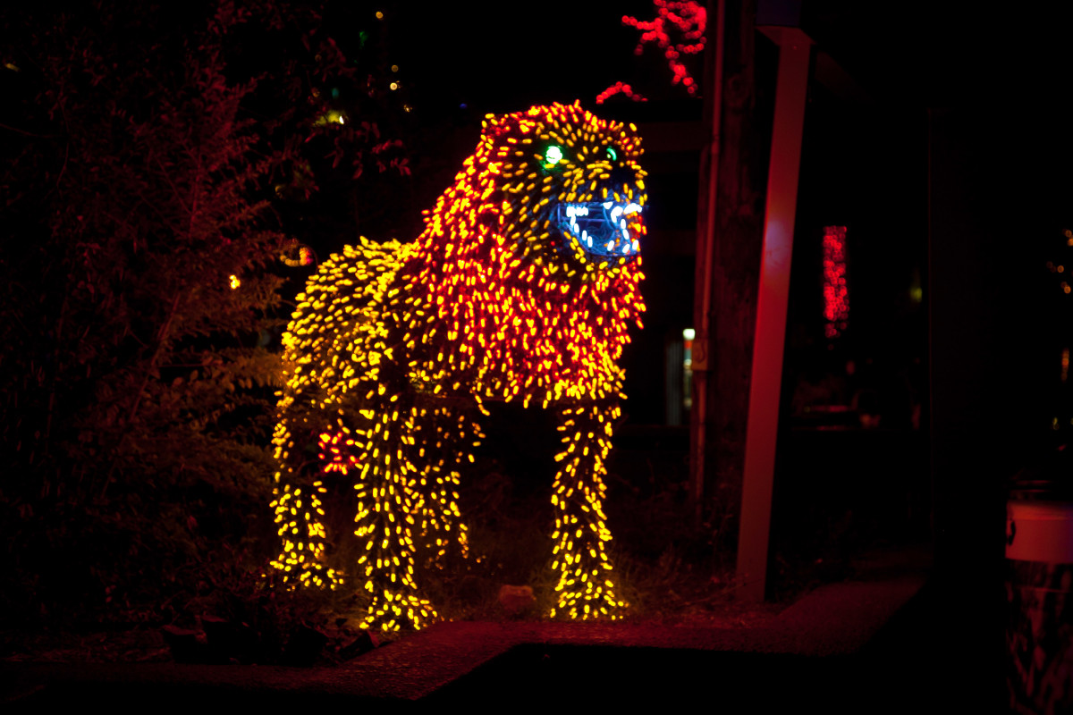 Christmas at the Zoo TodaysMama.com