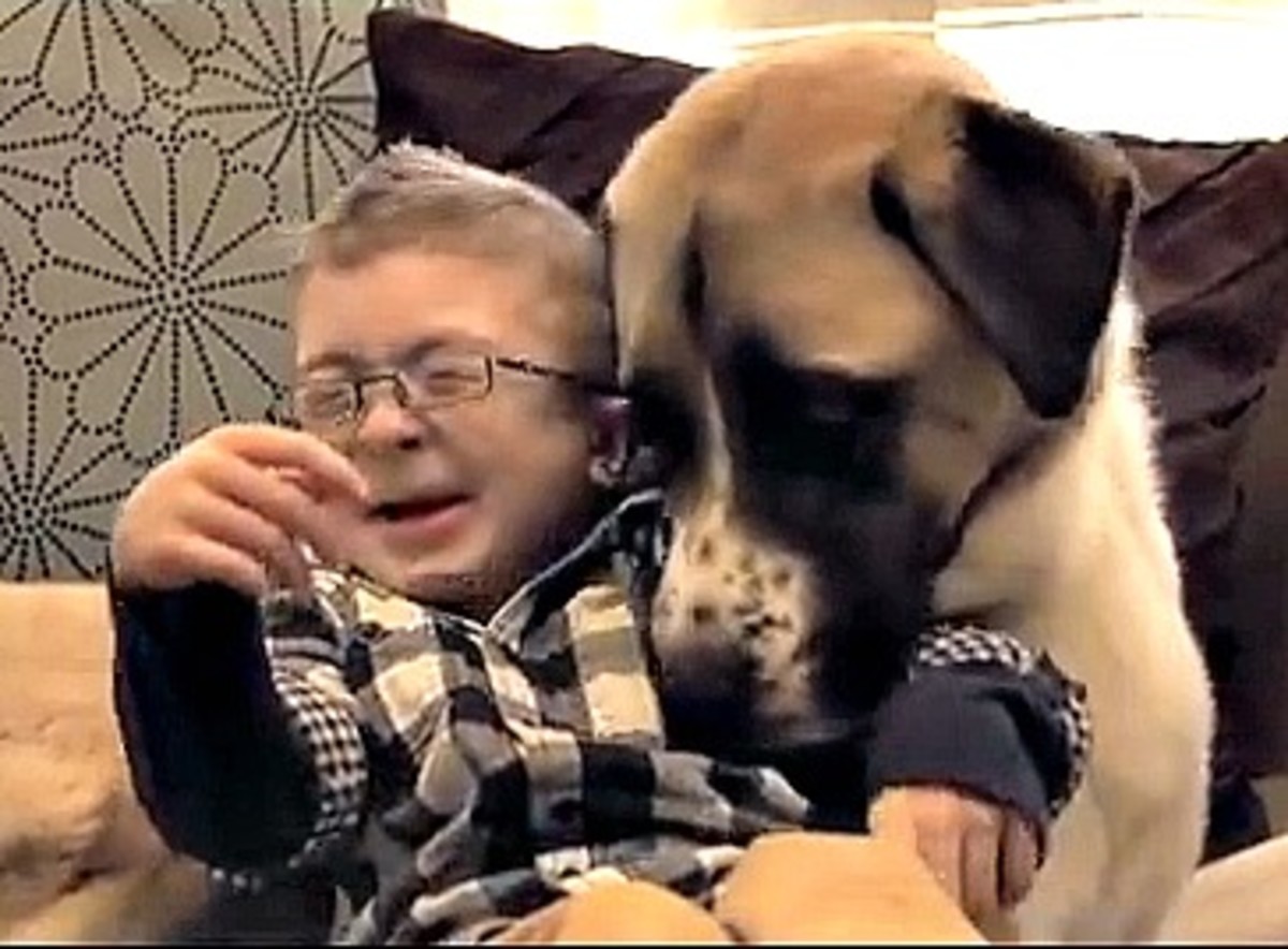 A Boy His Dog, This Video Is A Family Must-See www.TodaysMama.com