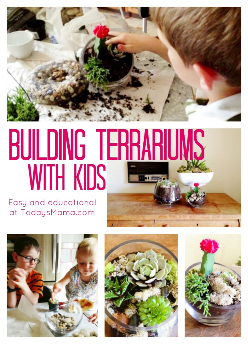 Building a Terrarium with Kids