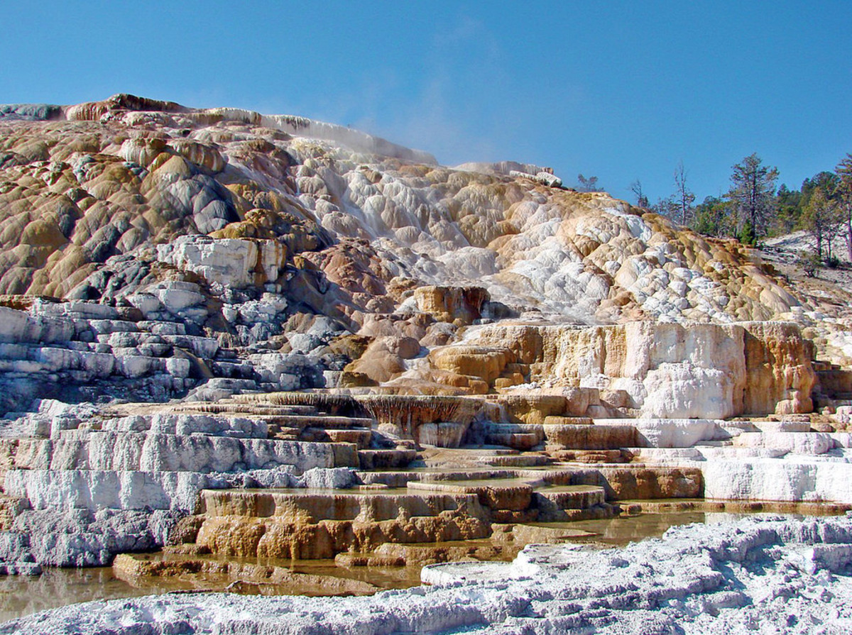 Nature's Sculpture, Mammoth Hot Springs (Flickr: Don Graham)