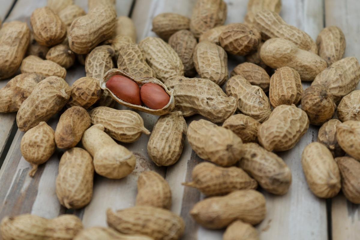 peanut butter vs almond butter