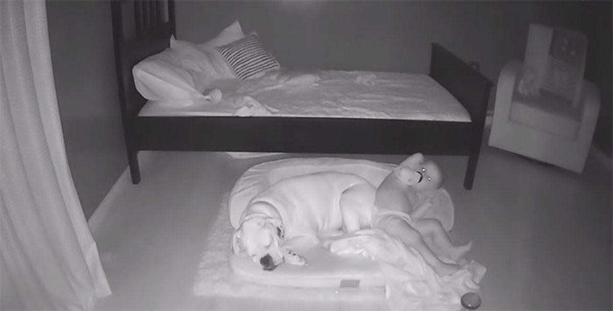 camera-captures-little-boy-sneaking-out-sleep-with-his-dog-5f11a211ac5d1__700