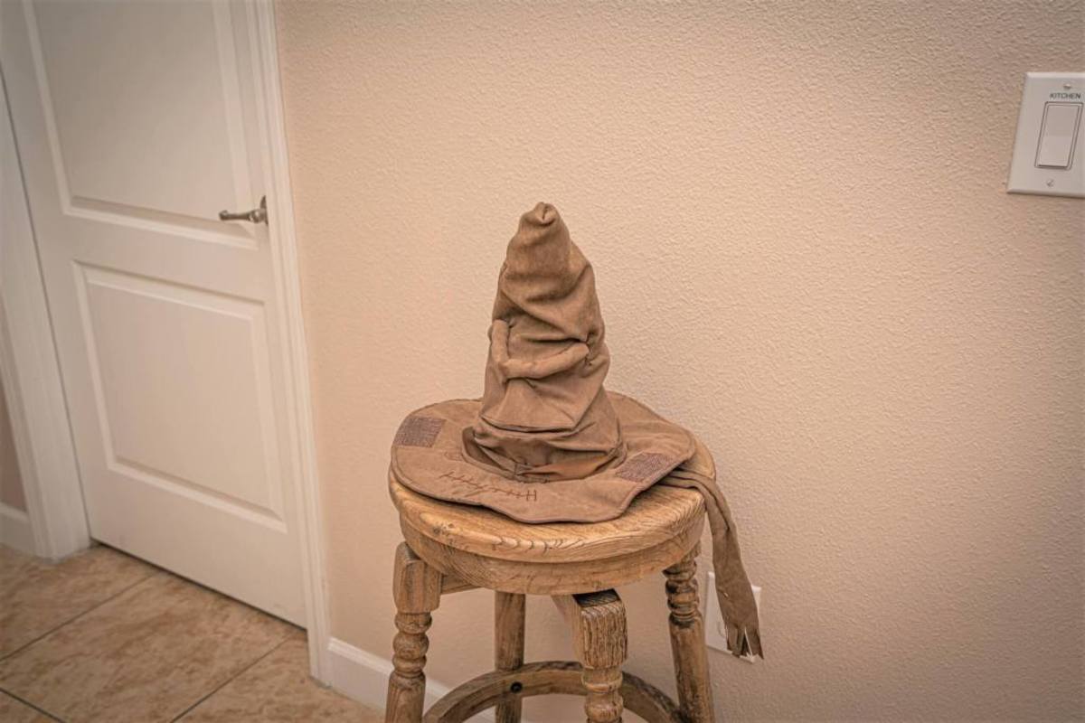 Thankfully the Sorting Hat is there to put people in their proper places from the start of your trip.