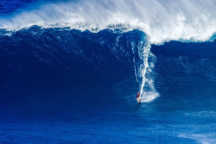 Image Source: Bethany Hamilton
